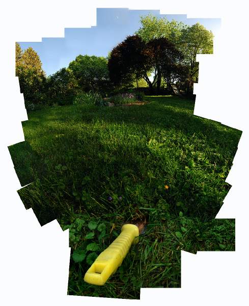 Spring Lawn with garden tool.jpg
